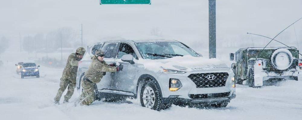 Guard Snow