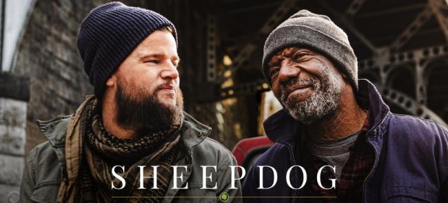 Sheepdog